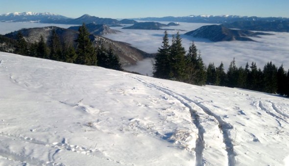 Paratreking na slovenském Chlebu (12. 12. 2013)