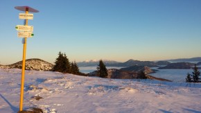 fatra:2013_03